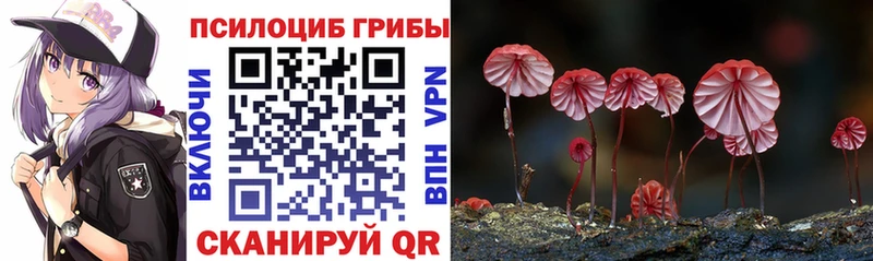 Галлюциногенные грибы Cubensis  Рязань 