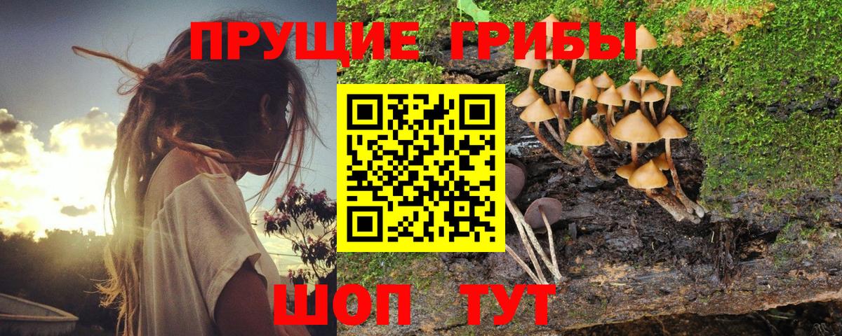 Рязань  Галлюциногенные грибы прущие грибы  Псилоцибиновые грибы прущие грибы  Вход с VPN 