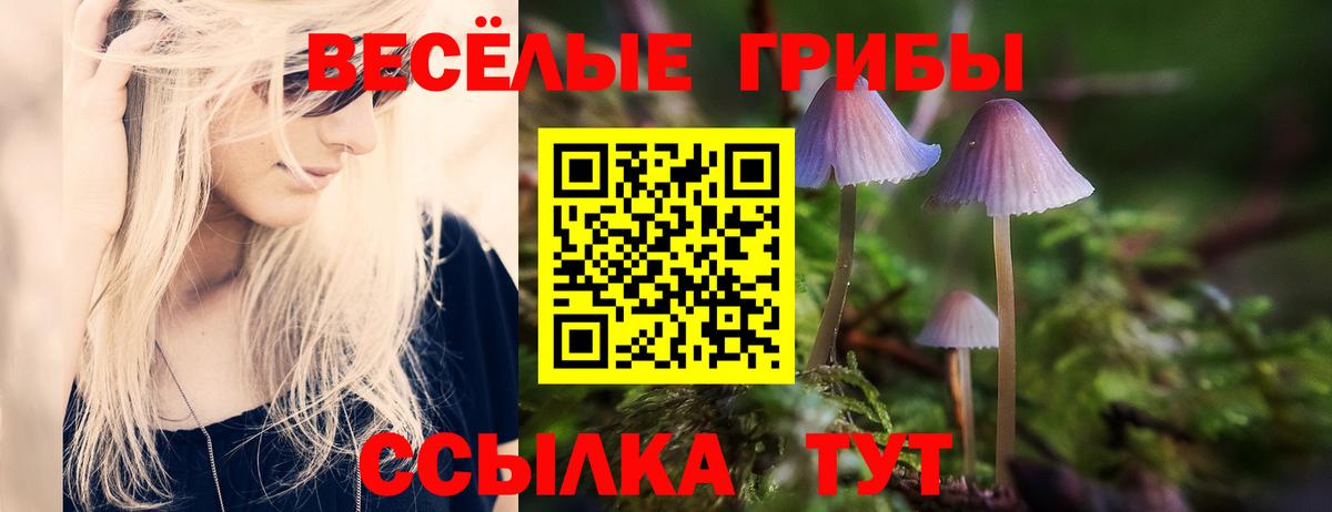 Галлюциногенные грибы Psilocybe Рязань